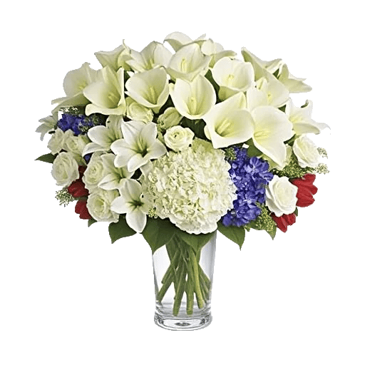 Elegant Calla Lilies