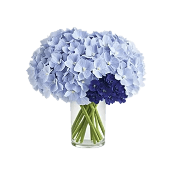 Sapphire Bloom Whisper