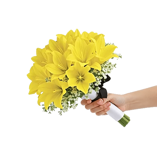 Blossom Harmony Display