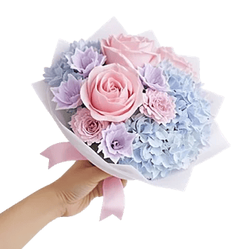 Blushing Rose Symphony