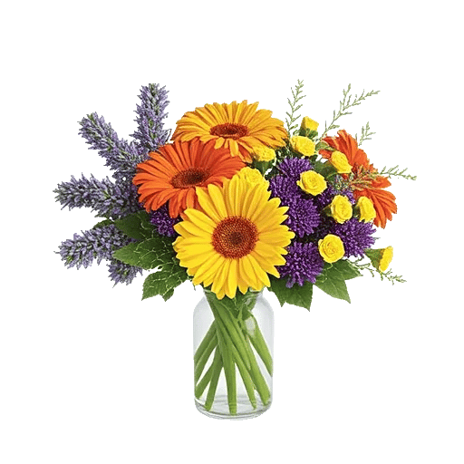 Serene Petal Harmony