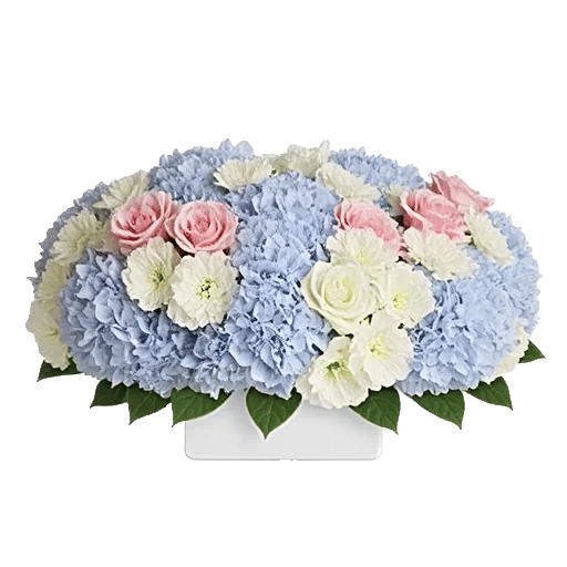 Serene Petal Harmony