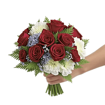 Crimson Rose Elegance