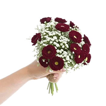 Elegant Calla Lilies