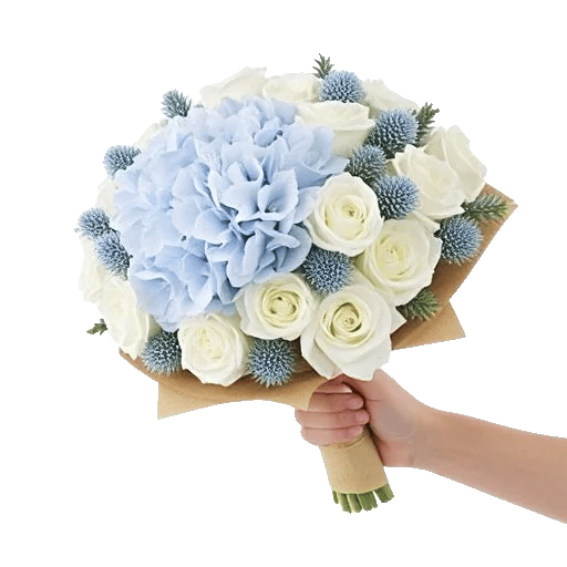 Serene Petal Harmony