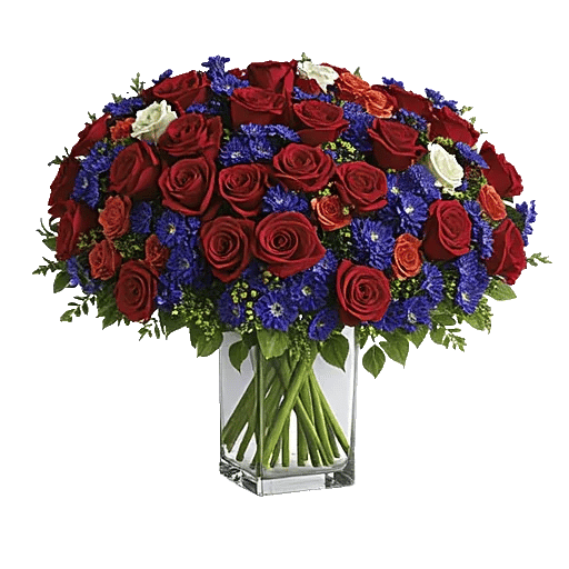 Radiant Rose Symphony