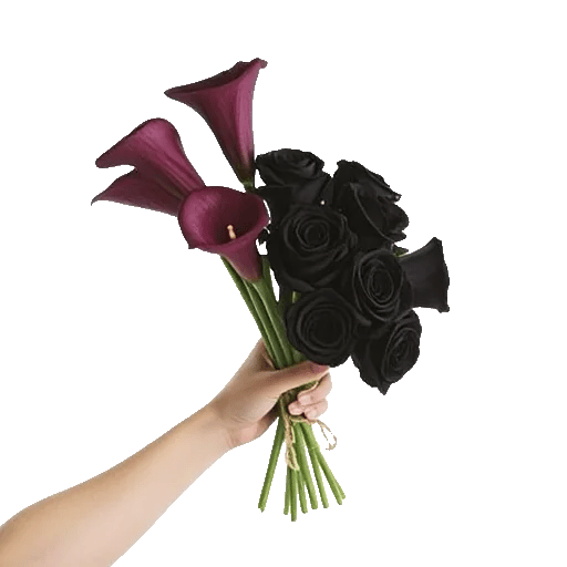 Elegant Calla Lilies