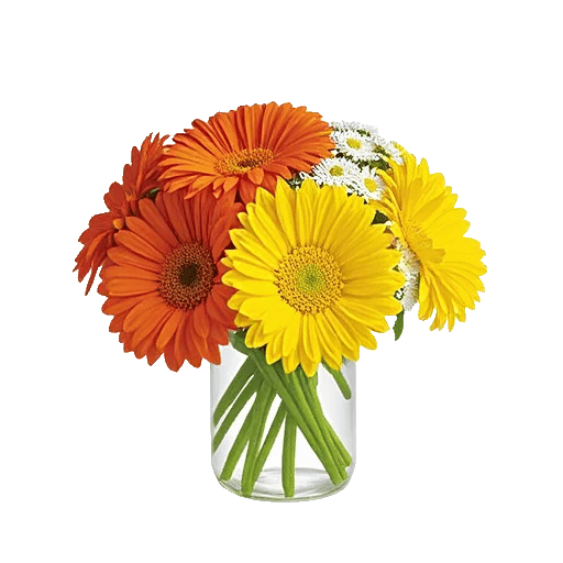 Petal Radiance Bliss