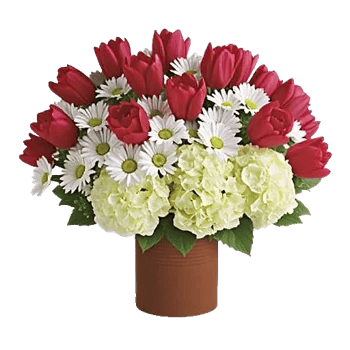 Crimson Blossom Harmony