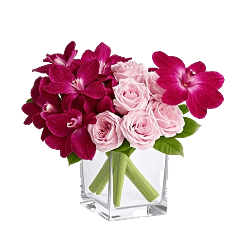 Orchid Bloom Cascade