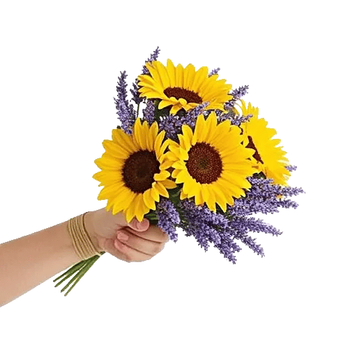Twinkling Sunflower Dance