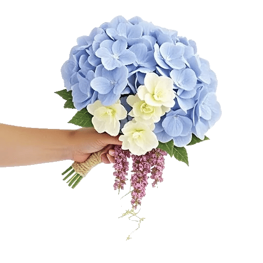 Delicate Petal Cascade