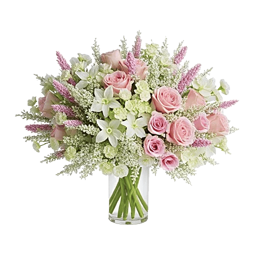 Ivory Blossom Radiance
