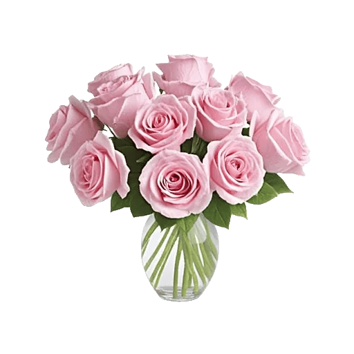 Blushing Rose Symphony