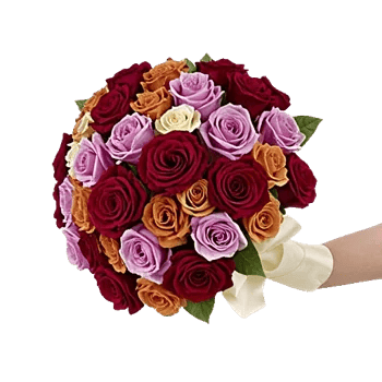 Crimson Rose Elegance