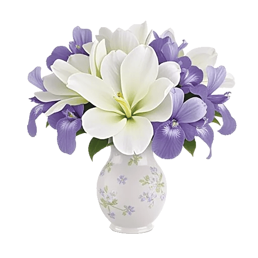 Ivory Blossom Radiance