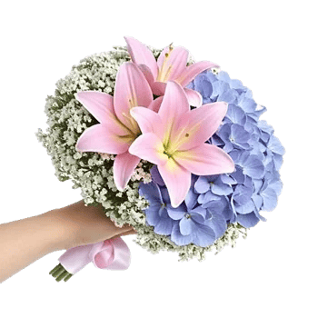 Blossom Petal Serenity