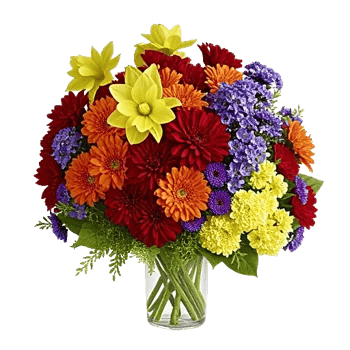 Petal Radiance Bliss