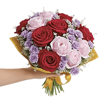 Crimson Rose Elegance