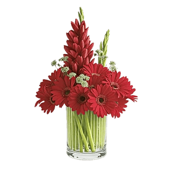 Crimson Blossom Harmony