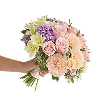 Pastel Pink Roses
