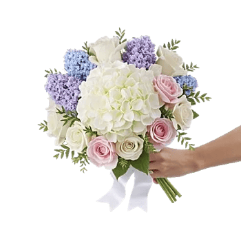 Serene Petal Harmony