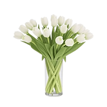 Ivory Blossom Radiance