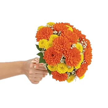 Petal Harmony Bliss