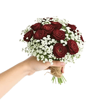 Elegant Calla Lilies