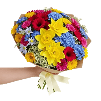 Dewy Morning Blossoms