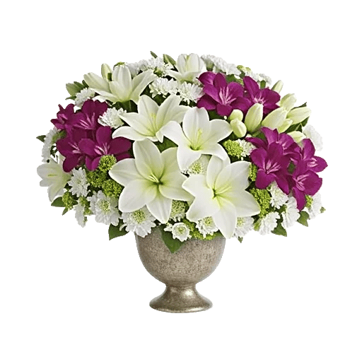 Modern White Orchids