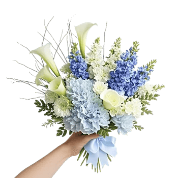 Elegant Calla Lilies