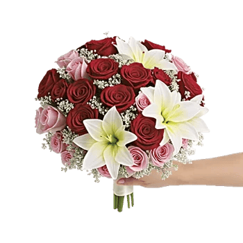 Blushing Rose Symphony