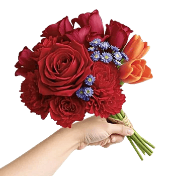 Crimson Rose Elegance