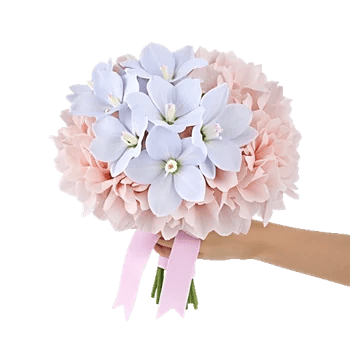 Orchid Petal Glow