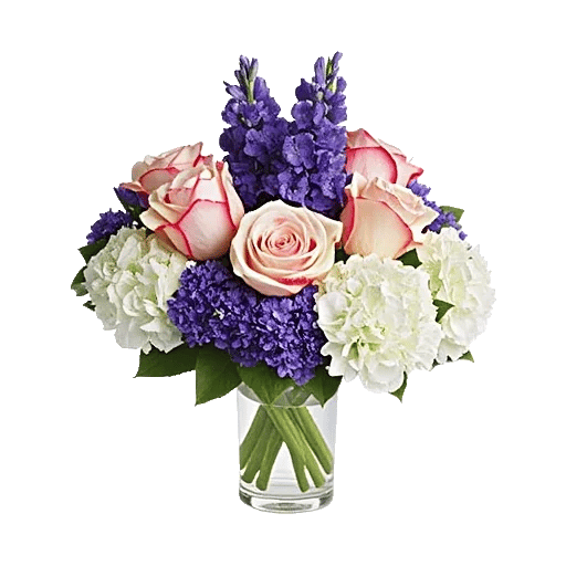 Ivory Blossom Radiance