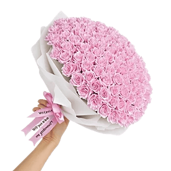 Pastel Pink Roses