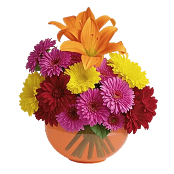Petal Radiance Bliss