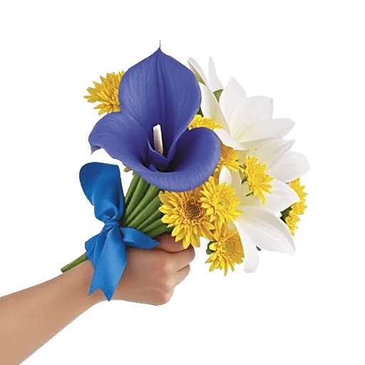 Elegant Calla Lilies