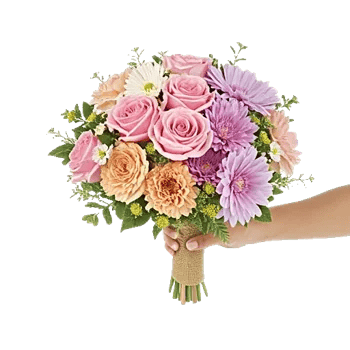 Pastel Pink Roses