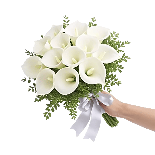 Elegant Calla Lilies