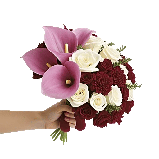 Elegant Calla Lilies