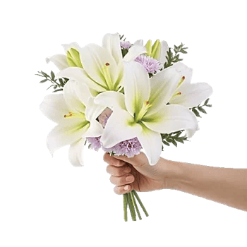 Graceful Lily Display