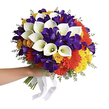 Elegant Calla Lilies