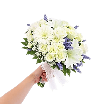 Ivory Garden Grace