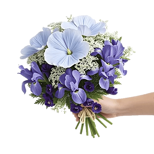 Serene Petal Harmony