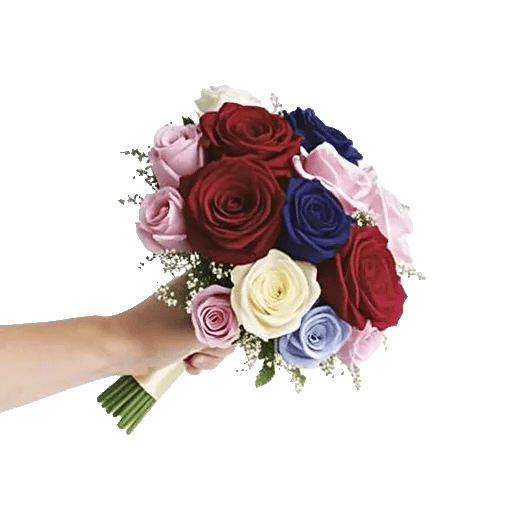 Blushing Rose Symphony