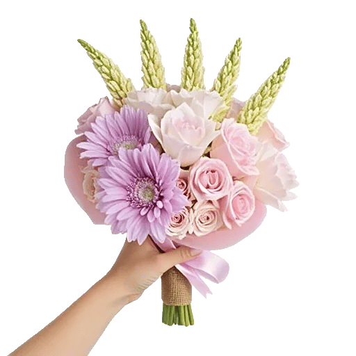 Petal Softness Display