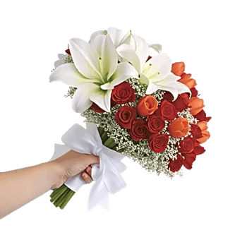 Blushing Rose Symphony