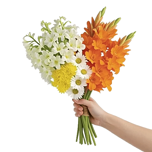 Blossom Harmony Display